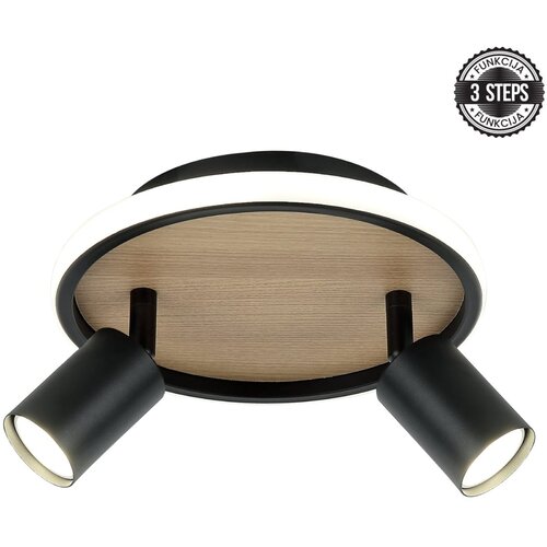 Forma LED plafonska lampa FG150-2 BK+WD Cene
