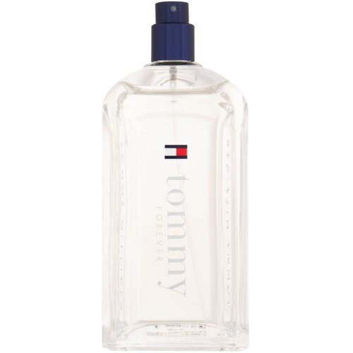 Tommy Hilfiger Tommy Forever toaletna voda 100 ml Tester za mu&scaron;karce Cijene