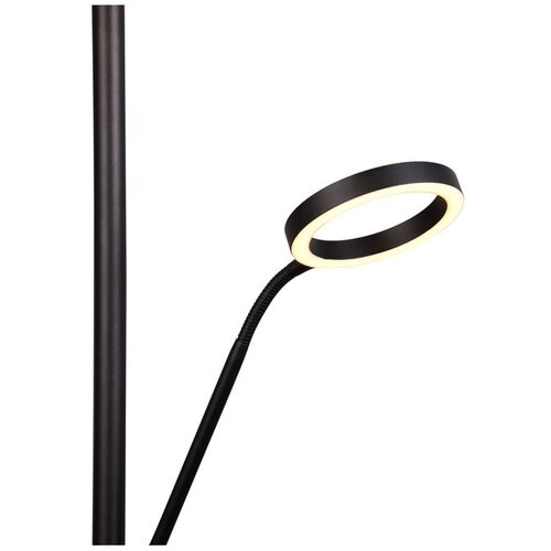  Črna LED stoječa svetilka (vi&amp;scaron;ina 180 cm) Willis &amp;ndash; Slike