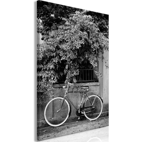  Slika - Bicycle and Flowers (1 Part) Vertical 40x60