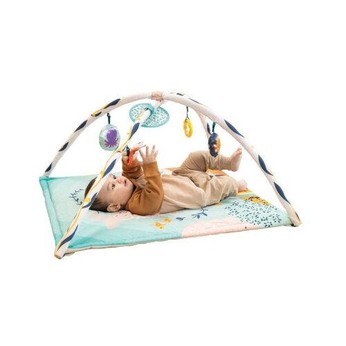 Infantino gimnastika morski set ( 22115379 ) Cene
