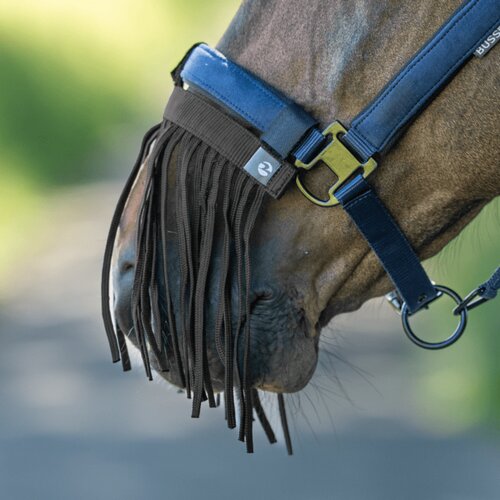 Busse Resice proti insektom Visby NO, black - X-Full Cene