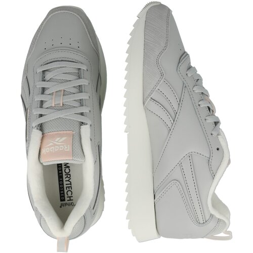 Reebok Nizke superge siva / puder / bela Slike