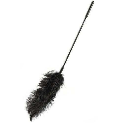 Hidden Desire Extreme Double Feather Tickler Black Slike