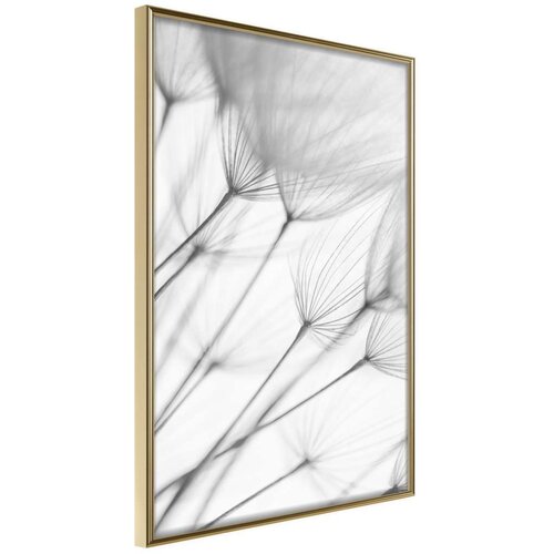  Poster - Gentle Blow 20x30 Cene