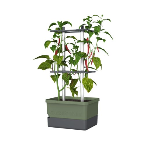 Gusta Garden Charly Chili - rastlinski lonec - Temno zelena Slike