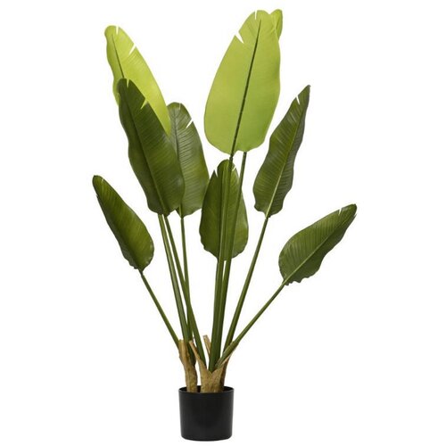 Ambia Home UMETNA RASTLINA 40/120 cm Slike