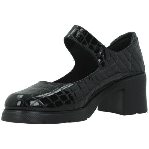 24 Hrs Salonarji 26965 24h Zapato Twister Črna Cene