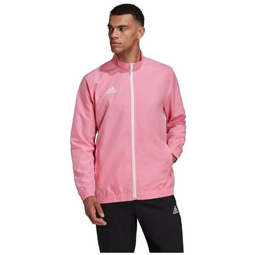 Adidas Jakne Entrada 22 Presentation Bela Cene
