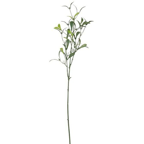  Grana Imela (Materijal: Plastika, Visina: 72 cm) Cene