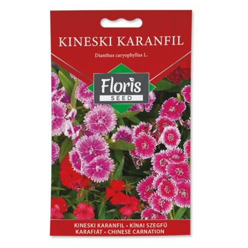 Floris seme cveće-kineski karanfil 03g FL Cene