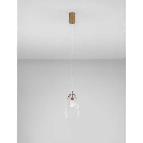 Nova Luce Medeninasta jeklena LED viseča svetilka s steklenim senčilom Shelina &amp;ndash; Slike
