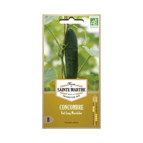  Kumara “Vert Long Maraîcher” Cene
