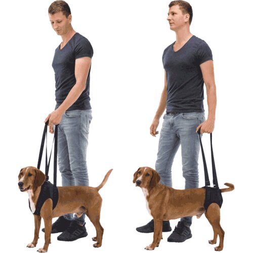Trixie Pojas za pomoć pri kretanju Dog Walking Aid - L Slike