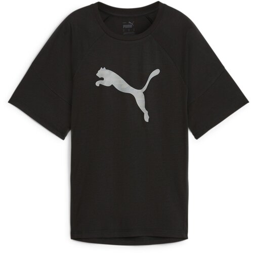 Puma Majica 'EVOSTRIPE' svijetlosiva / crna Cene