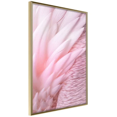  Poster - Pink Feathers 30x45