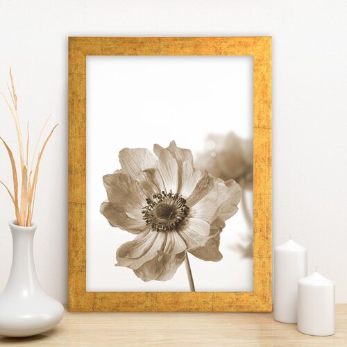 Wallity Uokvirena slika AC1680333029, 24x29 cm Cene