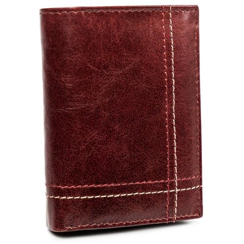 Always Wild Denarnice rovicky314180 Bordo Slike