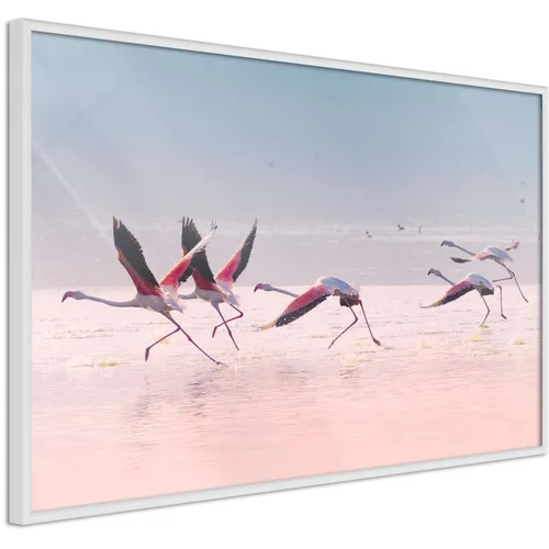  Poster - Flamingos Breaking into a Flight 30x20