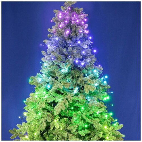 Home dekorativna LED rasvjeta, iSparkle RGB LED svjetlosni niz - LEDS144C-APP, Bijela Cijene
