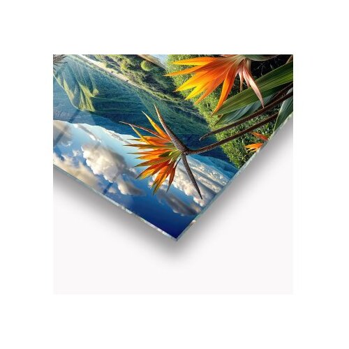 WALLXPERT dekorativna slika sri lanka 65 x 45 Slike