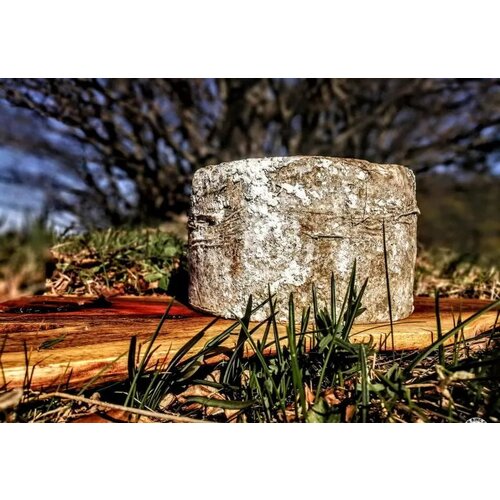 Golden Ring Cheese Butični sir Vipava Valley – Cene