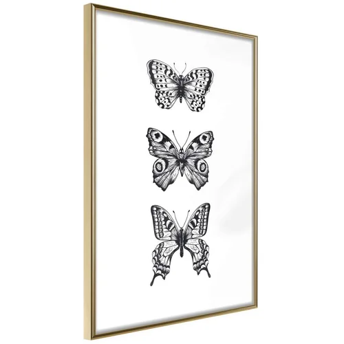  Poster - Butterfly Collection III 30x45