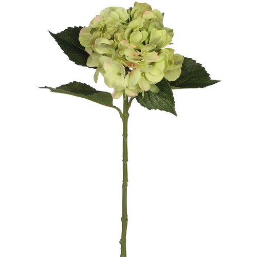 MICA Umjetni cvijet Hortenzija (Visina: 51 cm, Zelene boje, Plastika) Slike