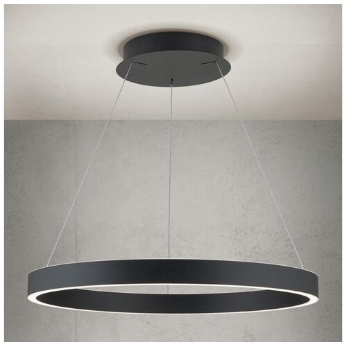  orion- led prigu&scaron;iva viseći luster na sajli kolk LED/60W/230V 2700/3000/4000K prečnik 60 cm crna Cene