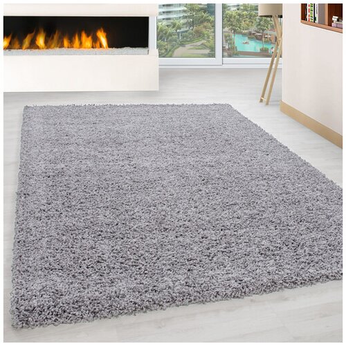 Conceptum Hypnose tepih 80x150cm svijetlo sivi Cene