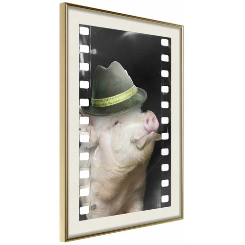  Poster - Dressed Up Piggy 30x45