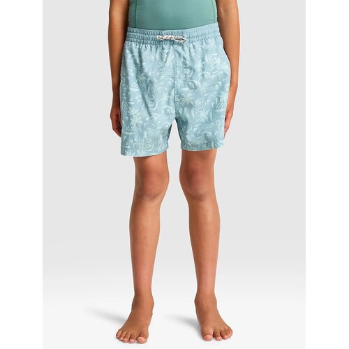 Billabong Vacay Kids Kratke hlace washed blue Cene