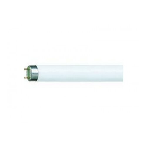 Philips fluo cev TL-D 36W/54-765 PS242 PS242 Slike