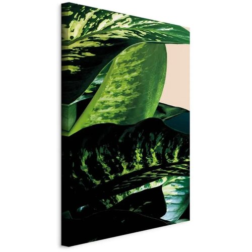  Slika - Dieffenbachia (1 Part) Vertical 40x60 Cene