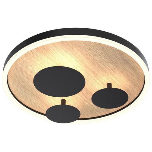 Wofi 9013-306S - prigu&scaron;iva LED plafonska lampa REIMS LED/26W/230V Cene