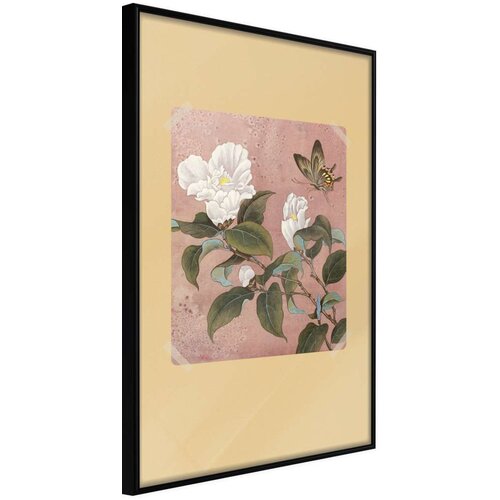  Poster - Rhododendron and Butterfly 40x60 Slike