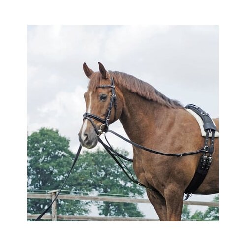 Busse Trikotne vajeti BASIC Slike
