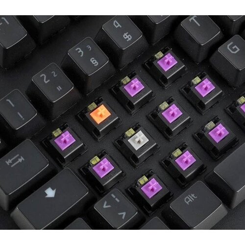 EPICGEAR EG Switch Grey/Orange/Purple 8 Pack Cene