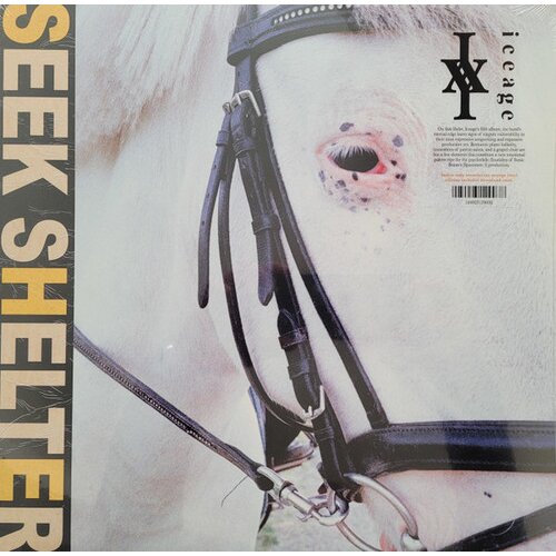  Iceage - Seek Shelter Cene