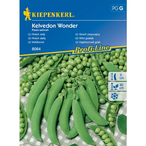 KIEPENKERL Sjeme povrća grašak Kelvendon Wonder (Pisum sativum, Berba: Lipanj)