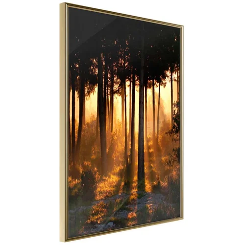  Poster - Dark Tree Tops 30x45