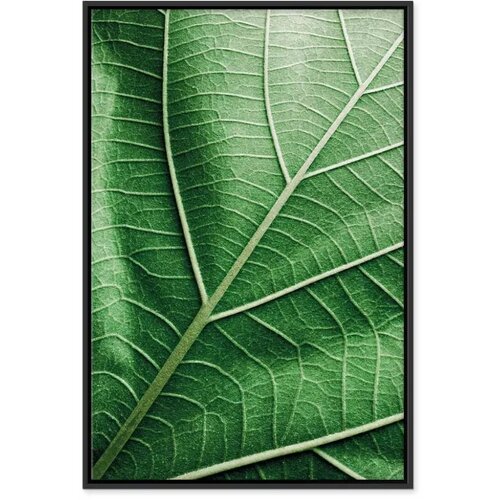  Slika - Malachite Leaf (1 Part) Vertical 60x90 Slike