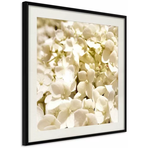  Poster - Soothing Flowers 50x50