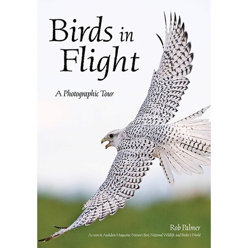 Simon & Schuster Rob Palmer - Birds In Flight Cene