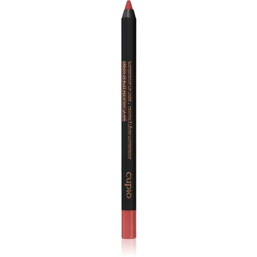 Cupio Waterproof Lip Liner vodoodporni svinčnik za ustnice odtenek Rich Nude 1,2 g Cene