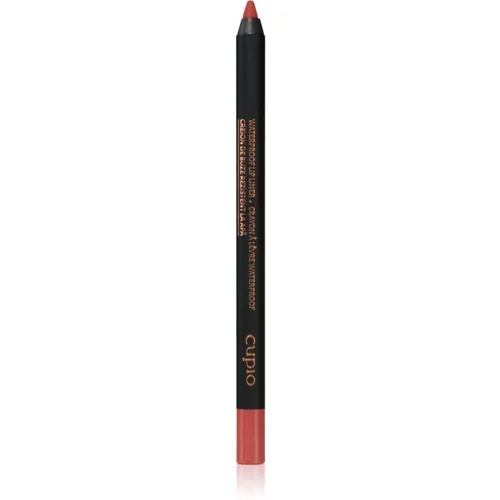 Cupio Waterproof Lip Liner vodoodporni svinčnik za ustnice odtenek Rich Nude 1,2 g