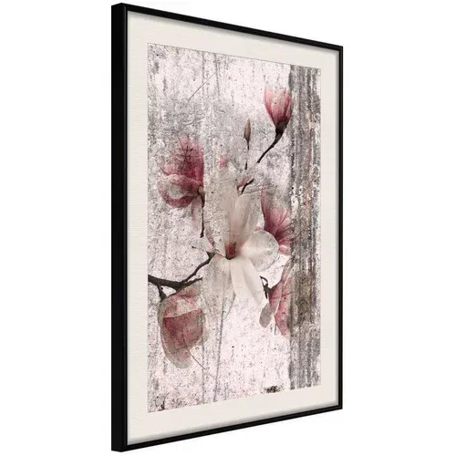  Poster - Queen of Spring Flowers I 20x30