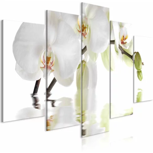  Slika - Wonderful Orchid (5 Parts) Wide 200x100
