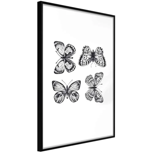  Poster - Butterfly Collection III 20x30