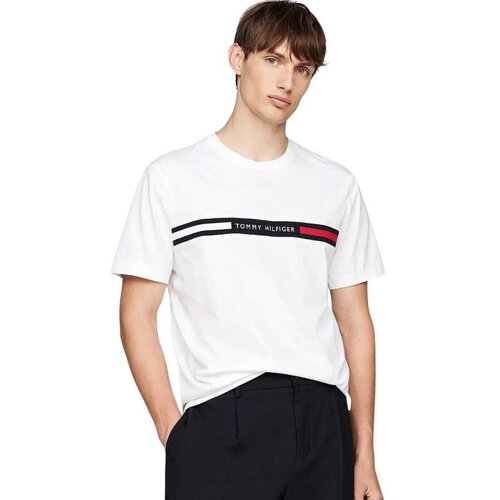 Tommy Hilfiger muška majica kratkih rukava THMW0MW36498-YBR Slike